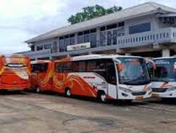 Sewa Bus: Solusi Transportasi yang Nyaman dan Efisien