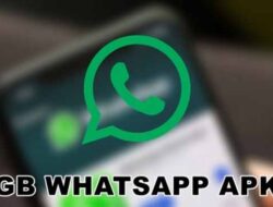 Mengetahui Jenis Fitur Lengkap di GBWhatsApp Terbaru 2023