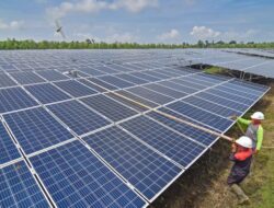 PLTS di Indonesia: Membangun Masa Depan Energi Terbarukan