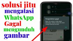 Penyebab WhatsApp Gagal Kirim dan Unduh Foto & Solusinya