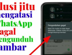 Penyebab WhatsApp Gagal Kirim dan Unduh Foto & Solusinya