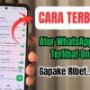 Atur WhatsApp Agar Tidak Terlihat Online, Begini Caranya