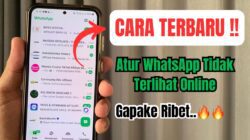 Atur WhatsApp Agar Tidak Terlihat Online, Begini Caranya