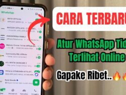 Atur WhatsApp Agar Tidak Terlihat Online, Begini Caranya