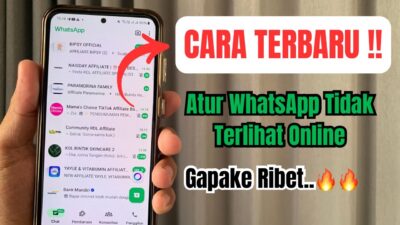 Atur WhatsApp Agar Tidak Terlihat Online, Begini Caranya