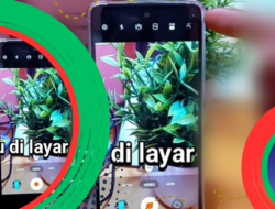 Titik Hijau di HP Samsung Muncul? Ini Penjelasannya