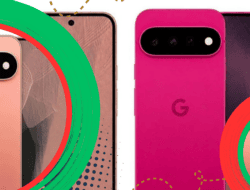 Bocoran Pixel 11 Tampilkan Warna Baru Fuchsia dan Dune